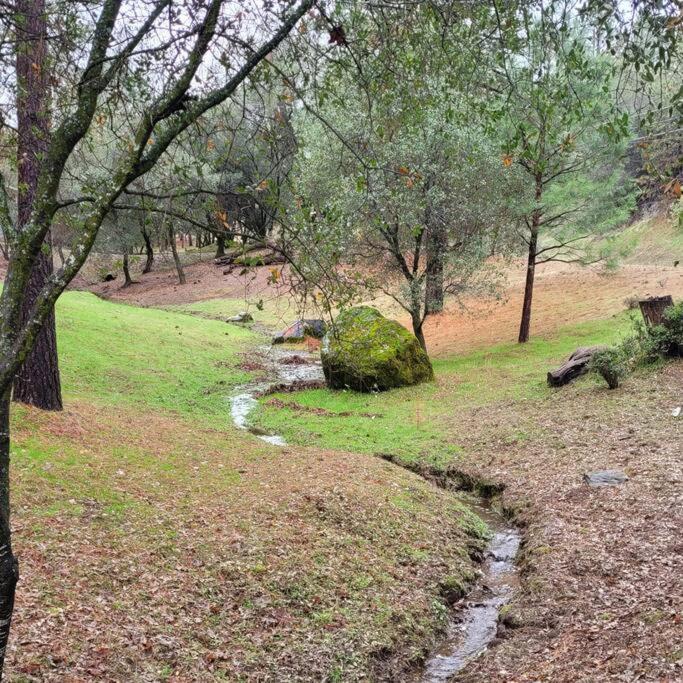 Home In Groveland Near Yosemite Np Bagian luar foto